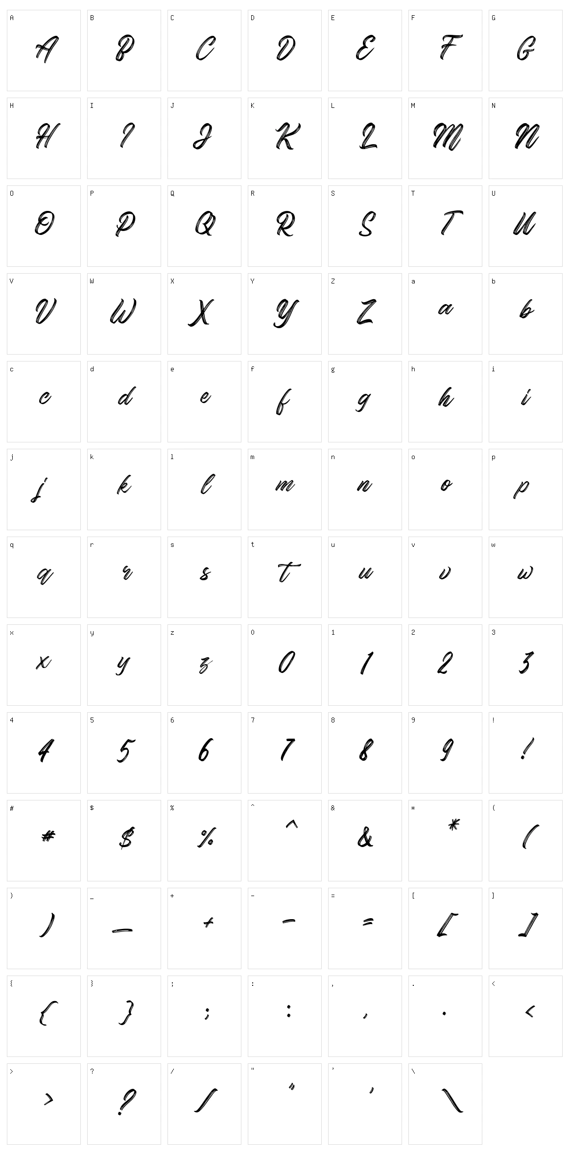Gorgeous Script Typeface Character Set