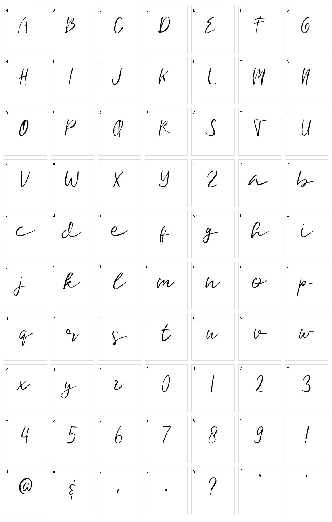 Signature Brush Character Set