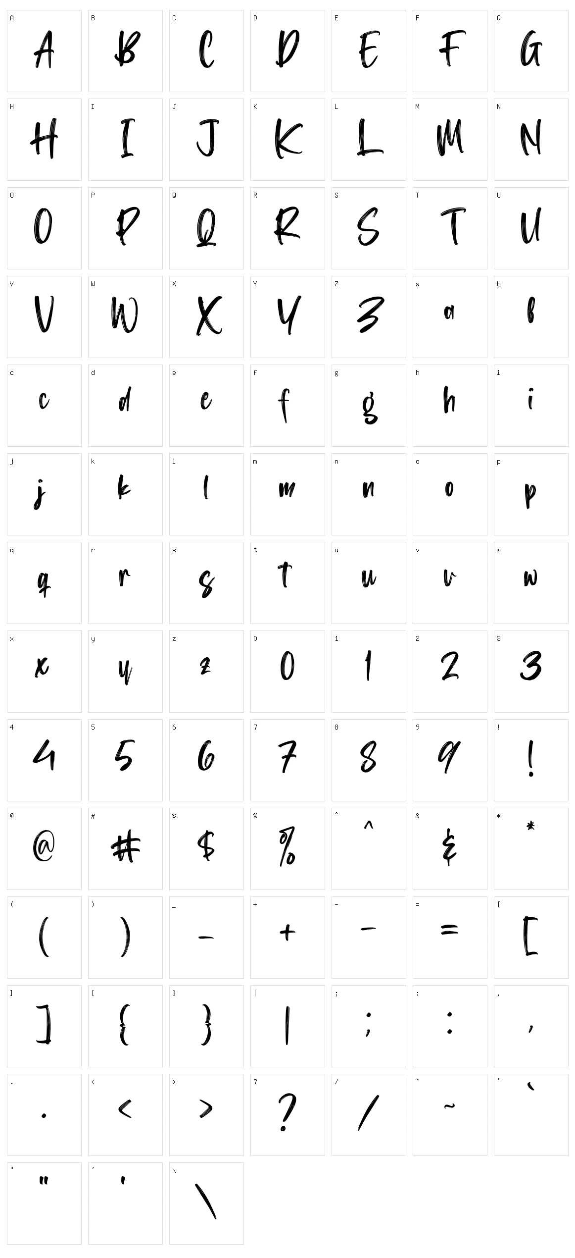 Washington Lifestyle Character Set