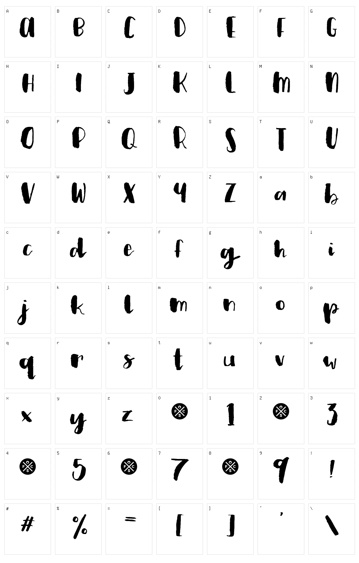 Plum Brush Script Character Set