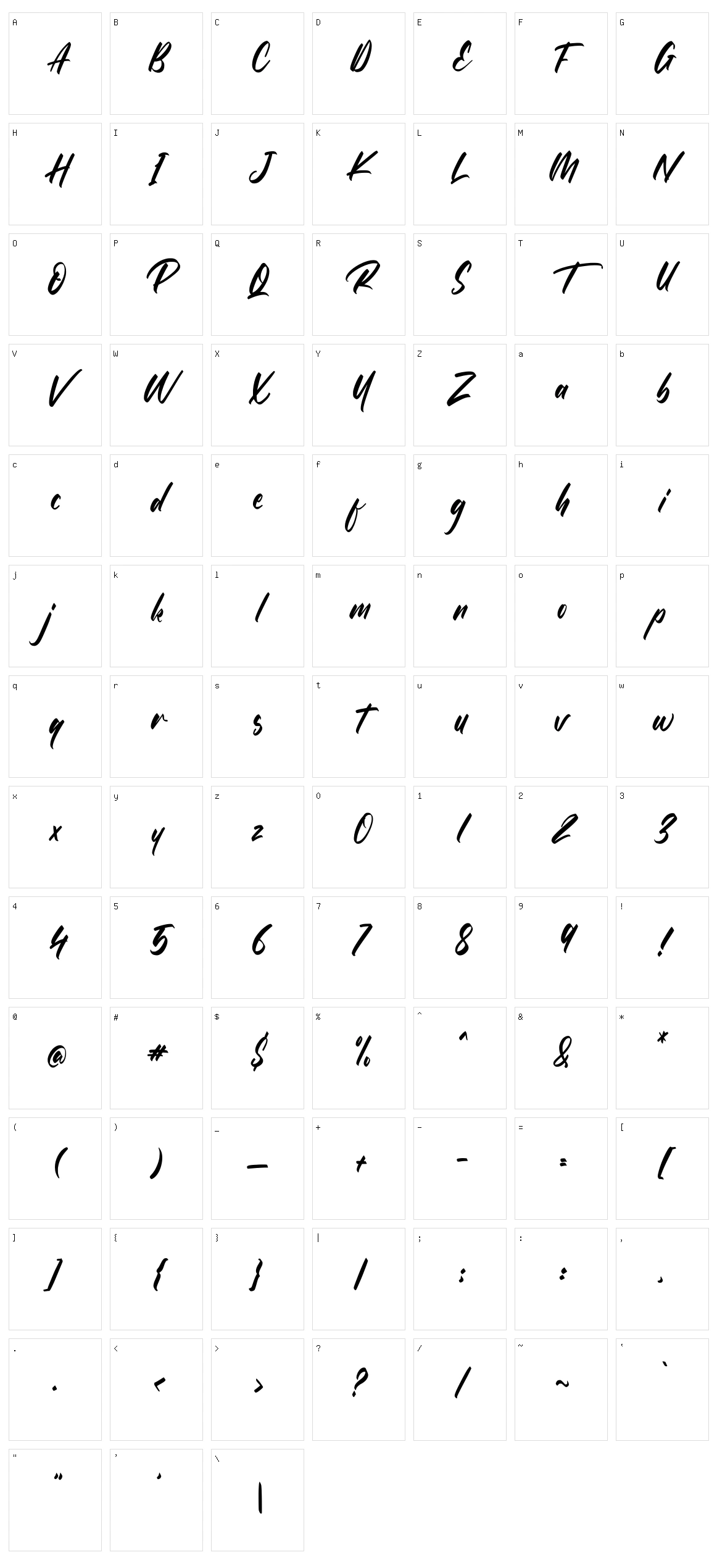 The Raster Character Set