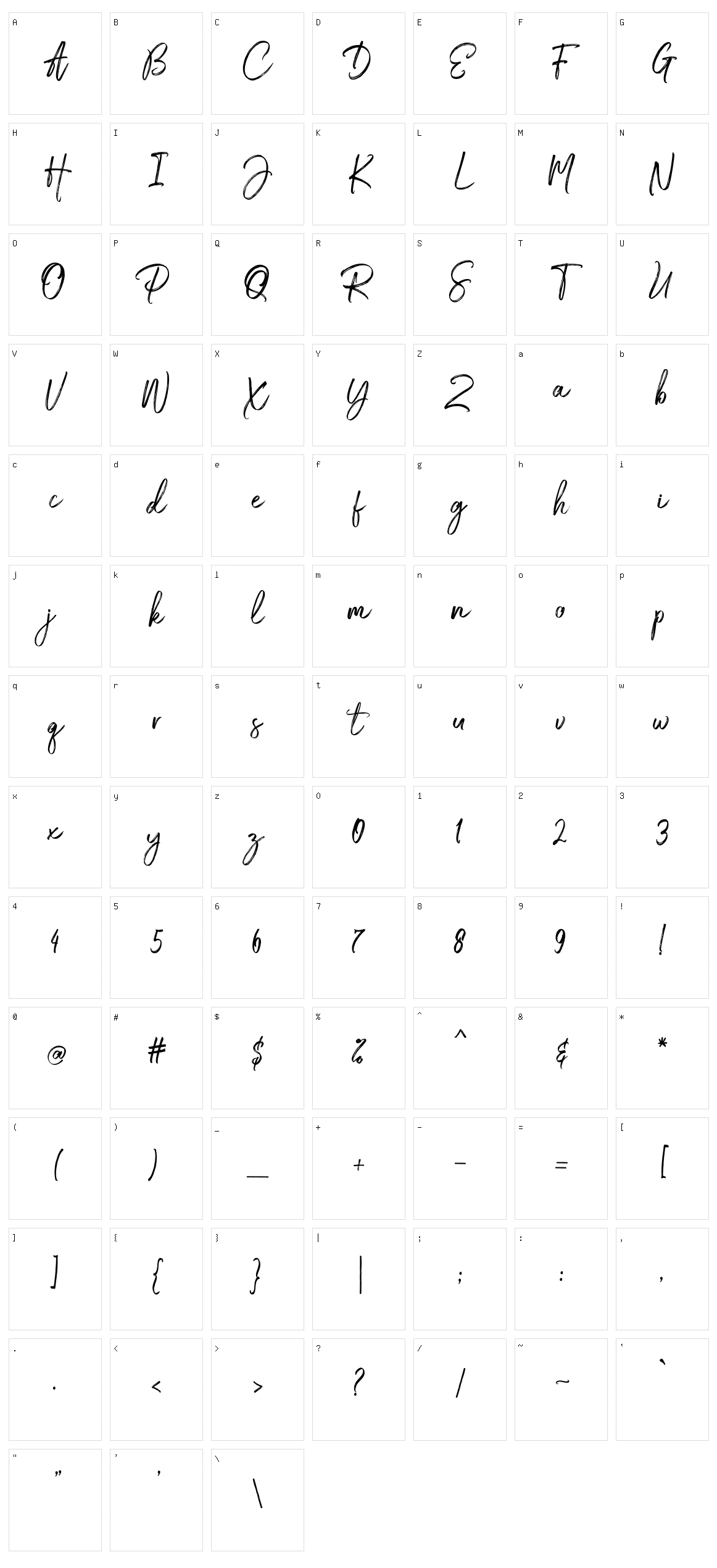 Medley Script Character Set