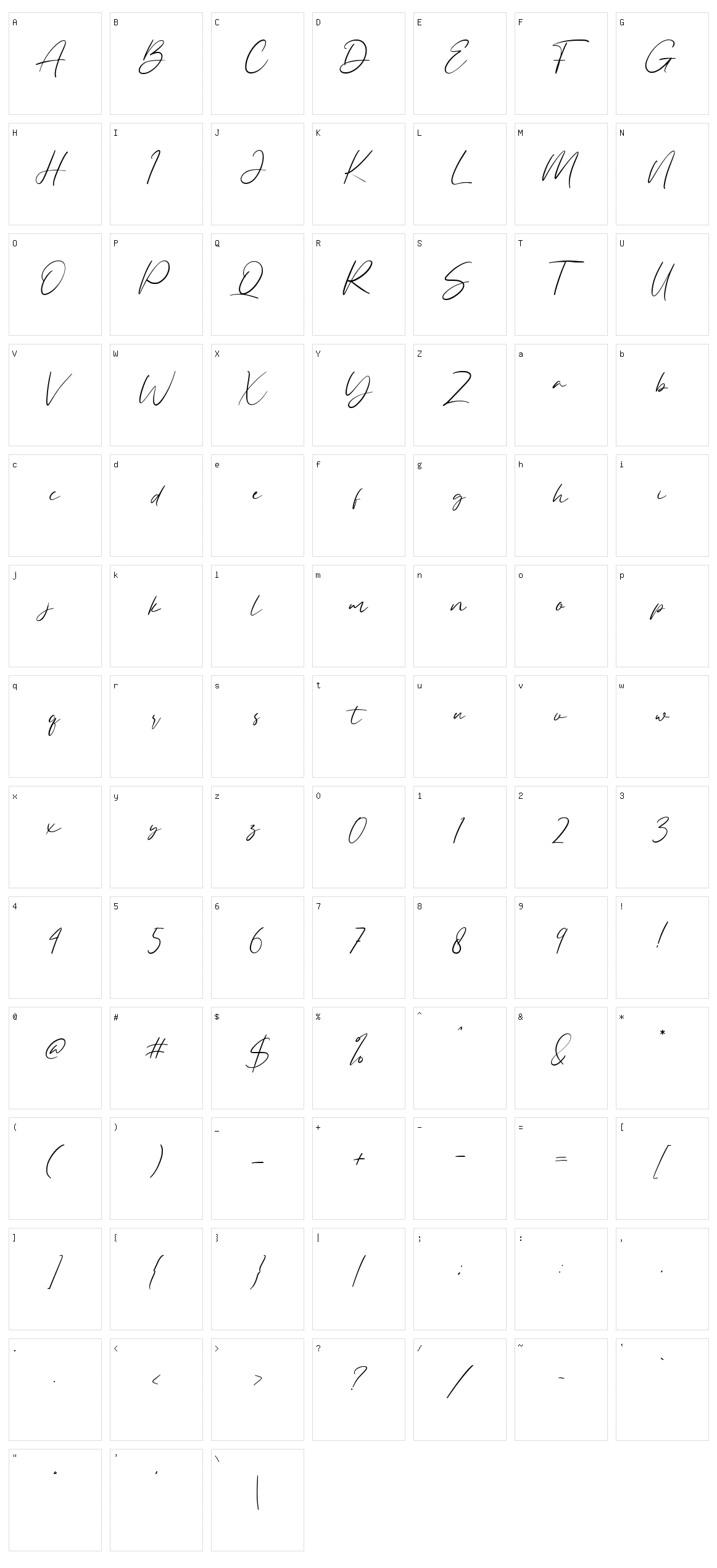 Allezia Sttacy Character Set