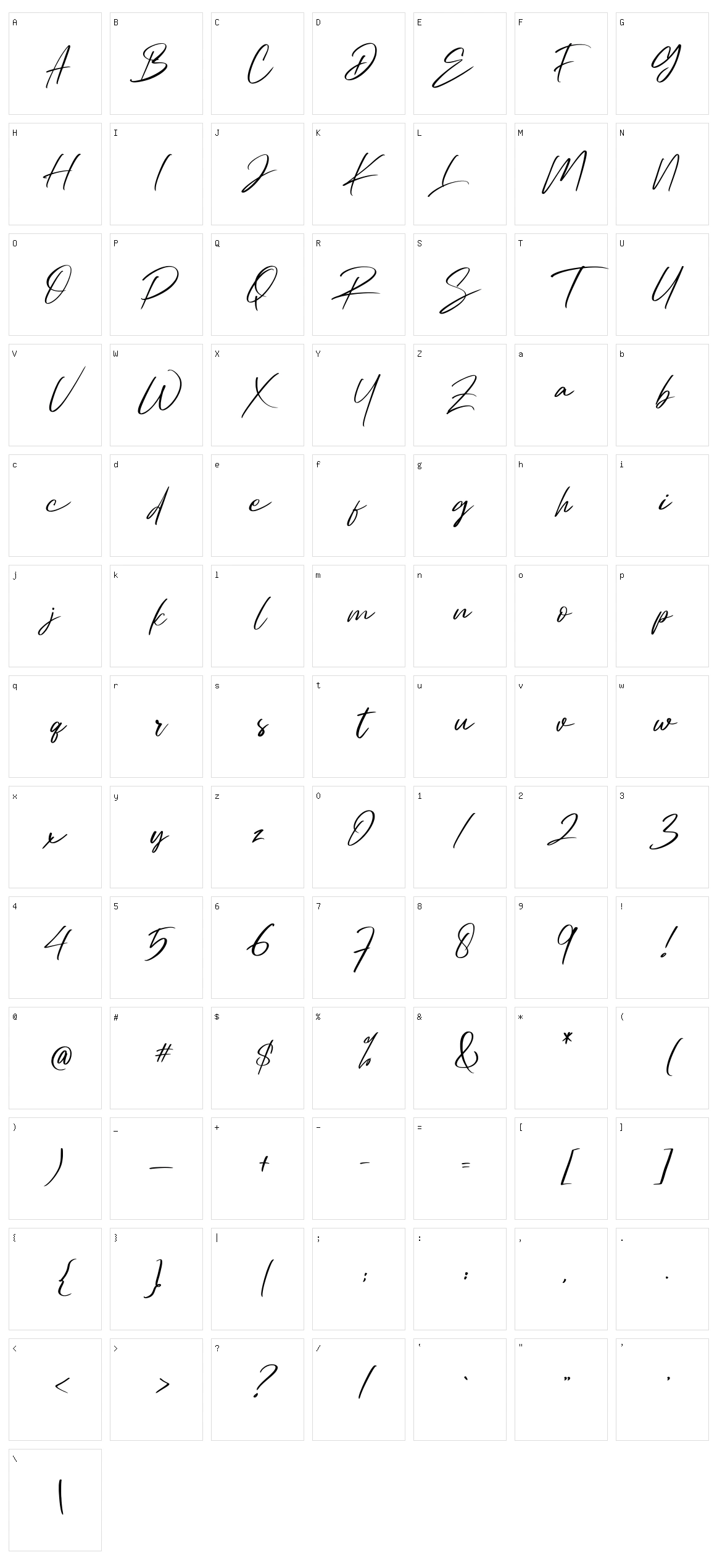 Ambitive Character Set