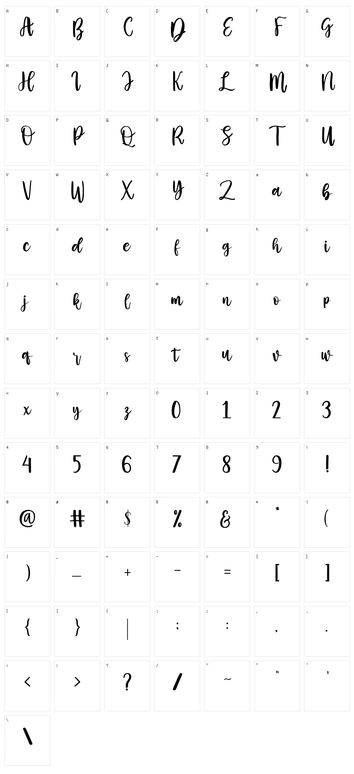 Casey Martin Character Set