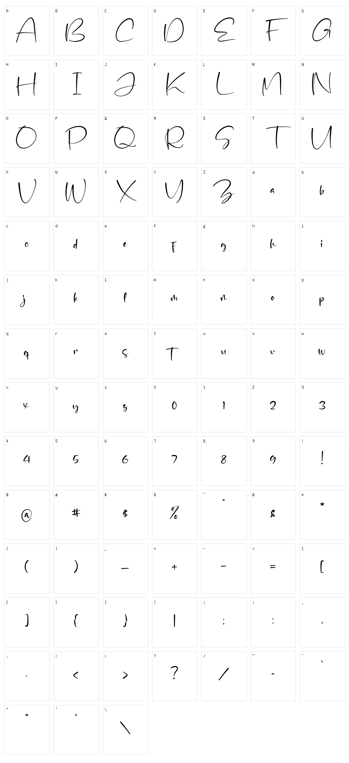 Display Signatera Character Set