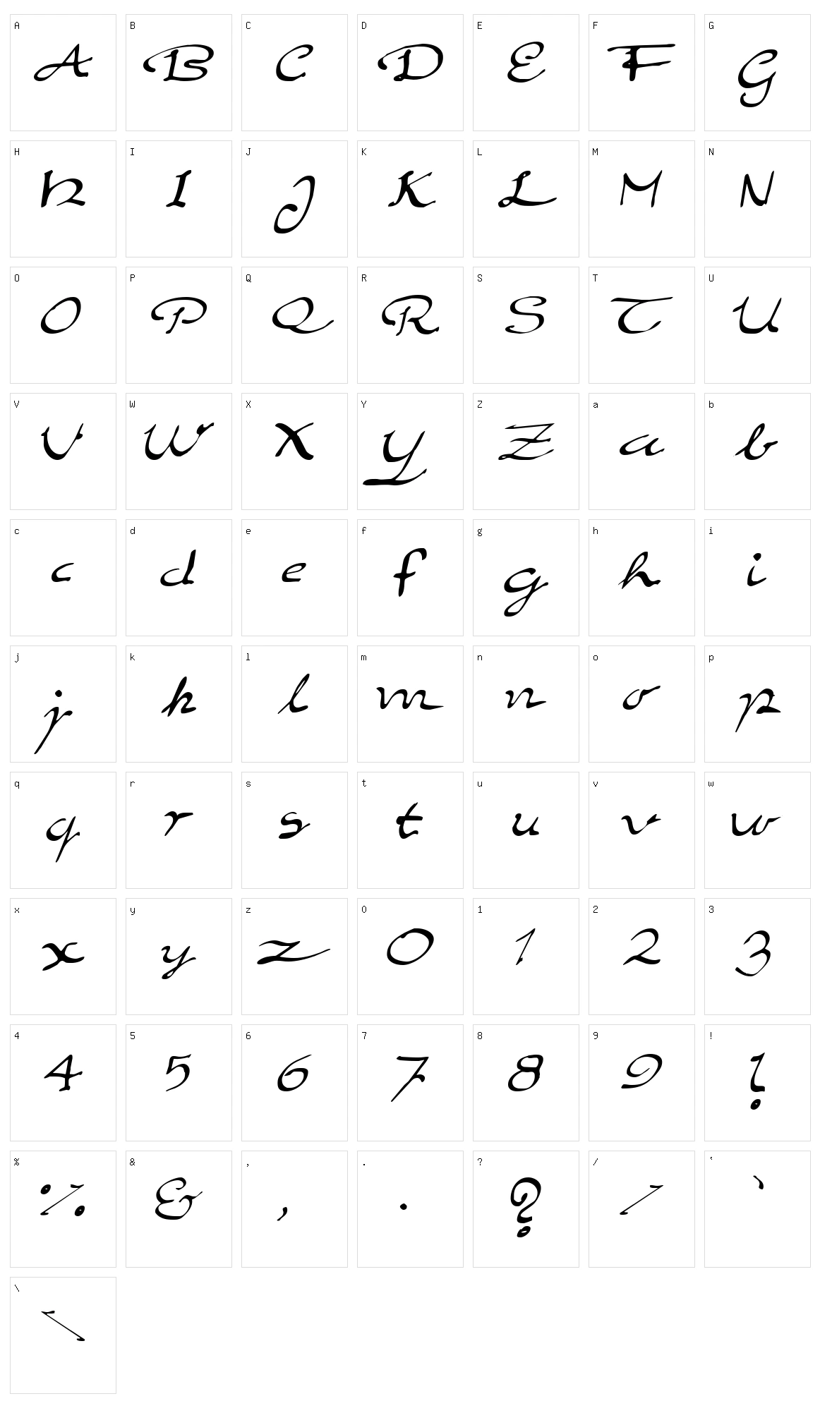 Elegant Hand Script Character Set