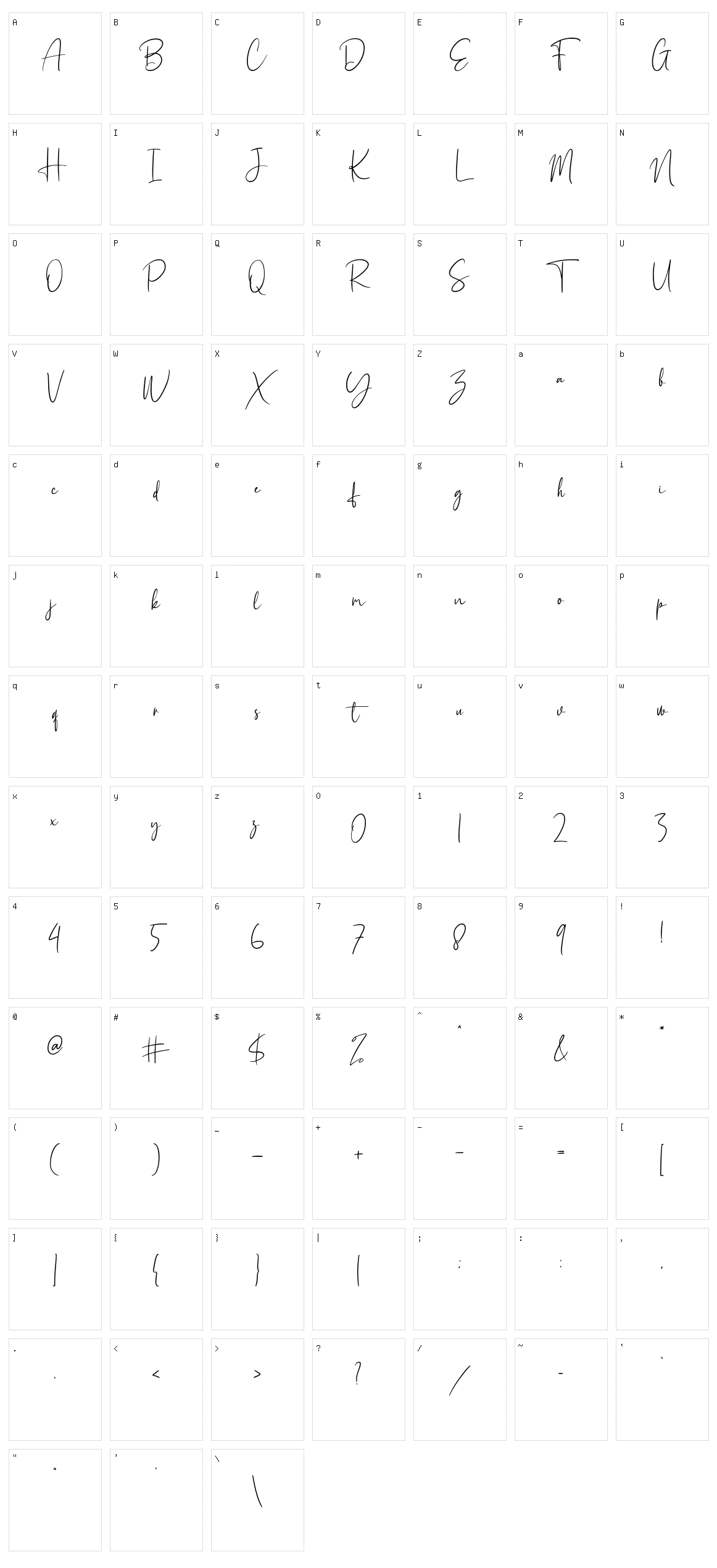 Holistic Signature Character Set