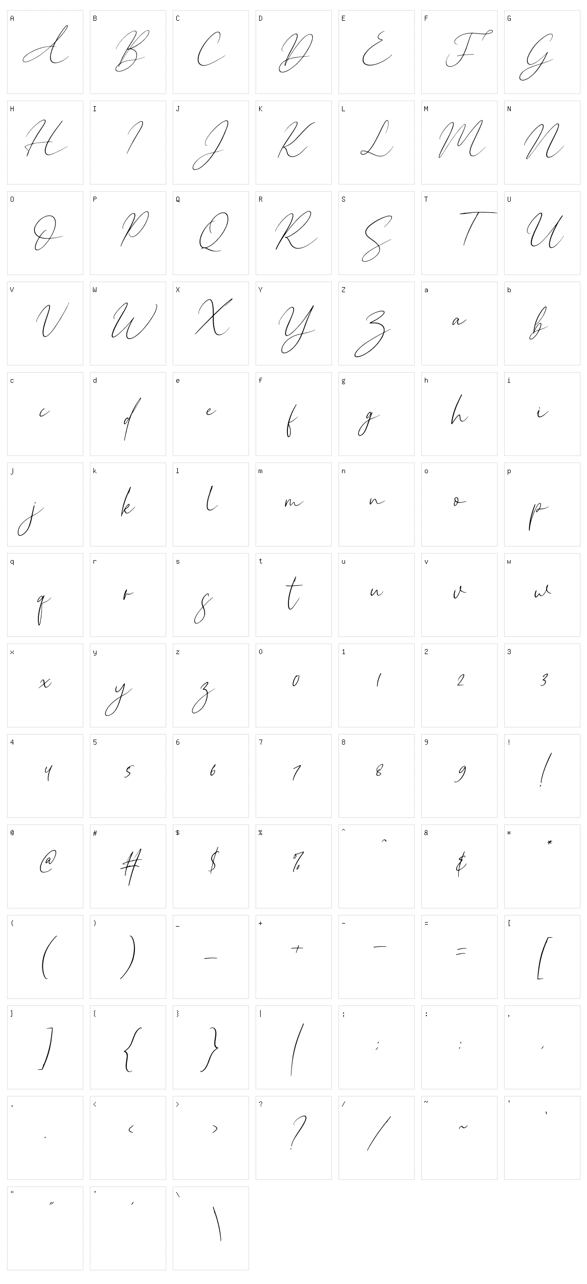 New York Signature Character Set