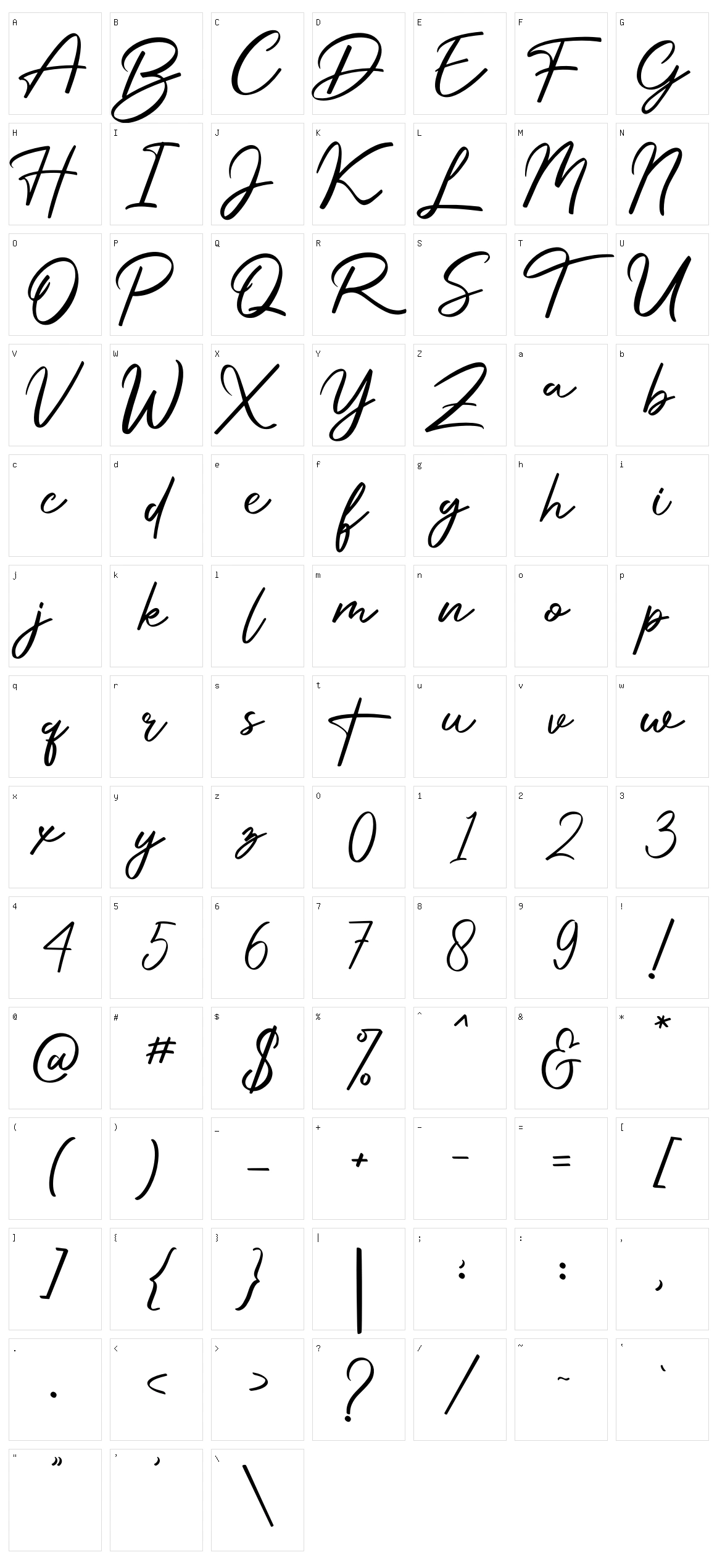 Procreate Signature Character Set