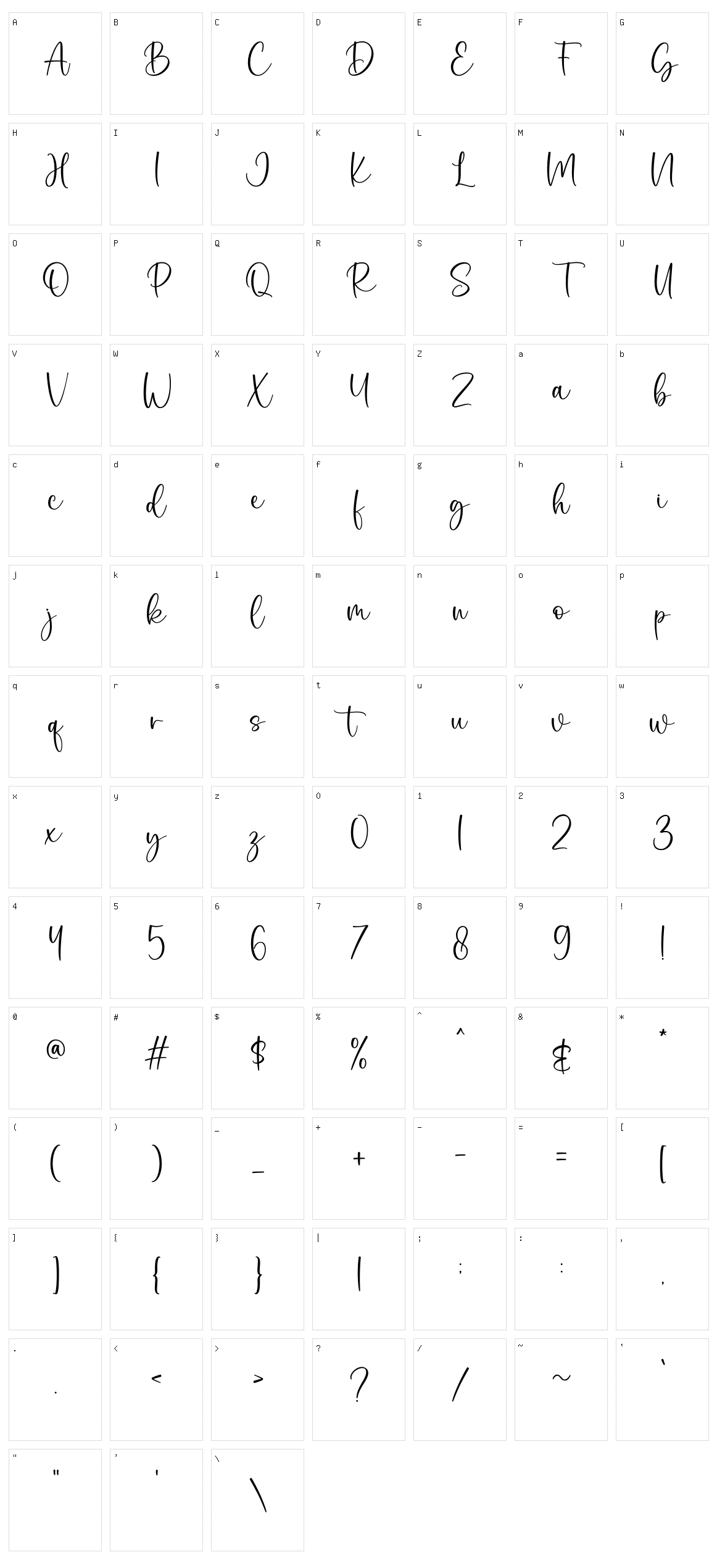 Selvia Character Set