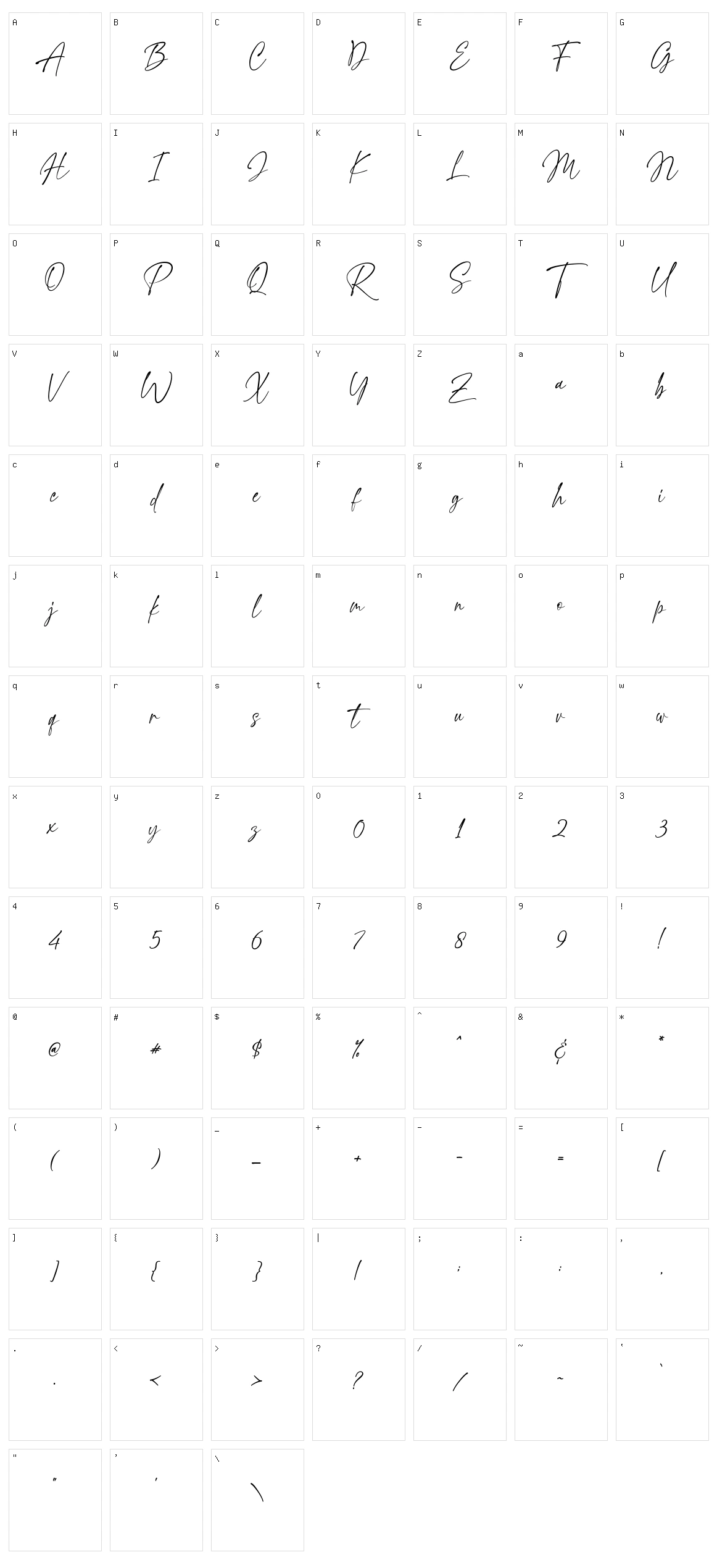 Spectacular Signature Character Set