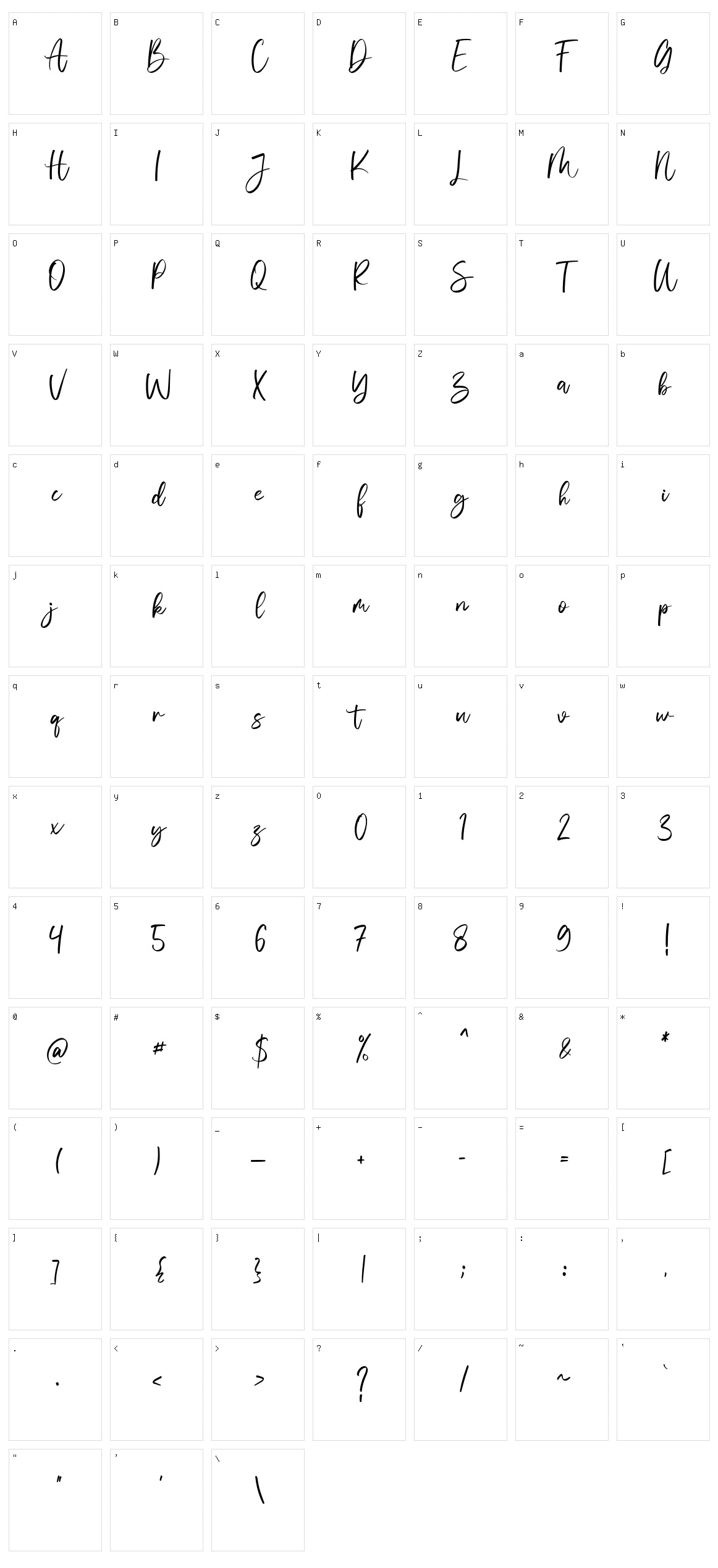 Vivy Aquilla Character Set