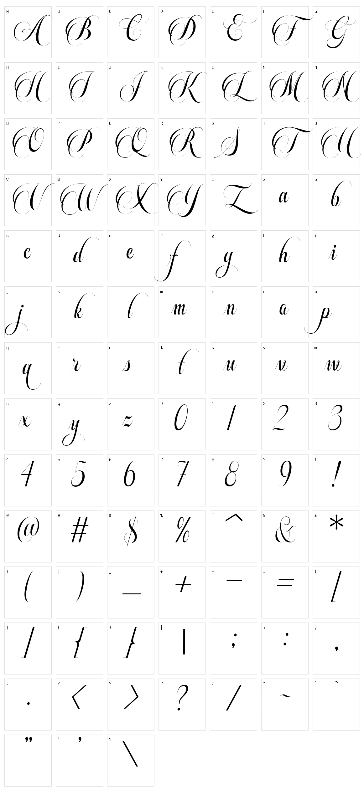Beautiful Roses Script Character Set