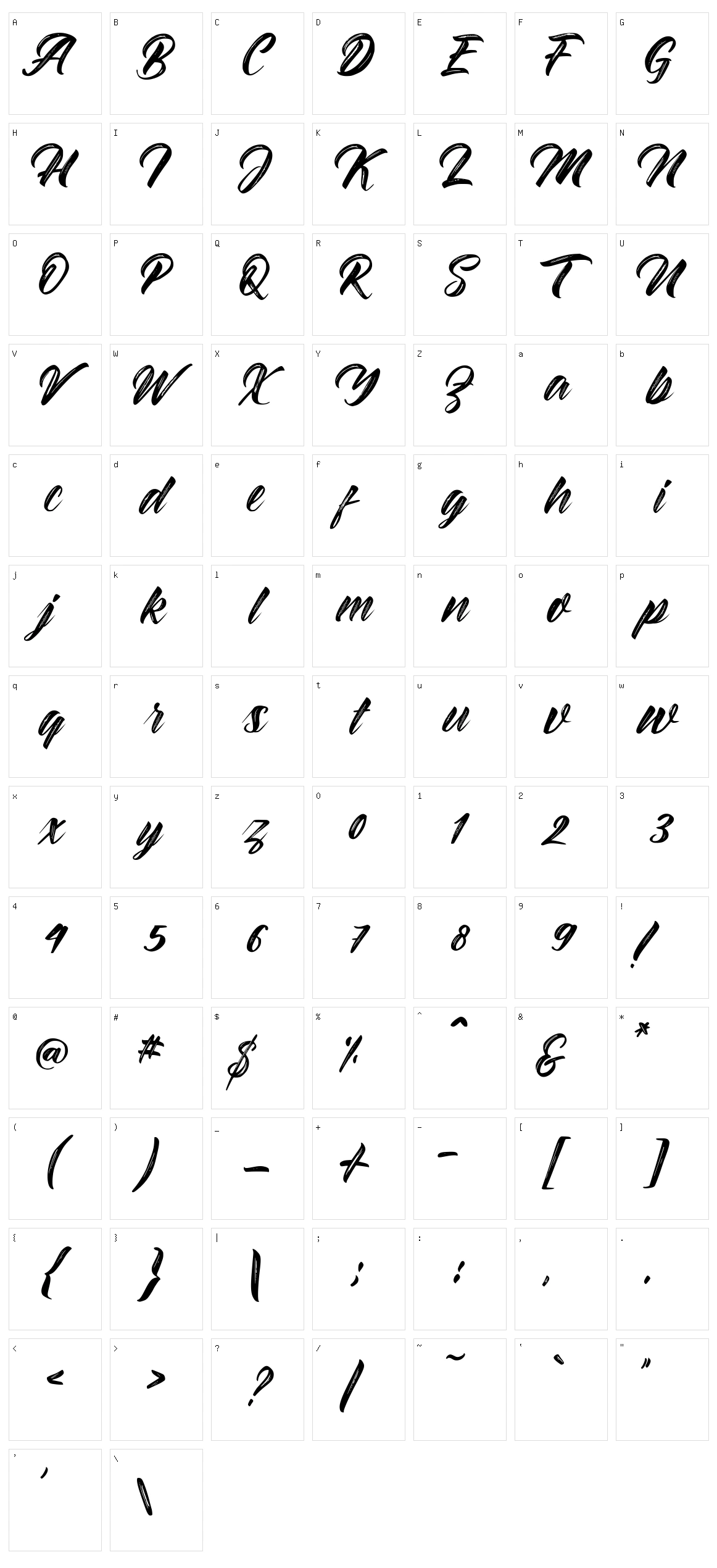 Braydon Script Character Set