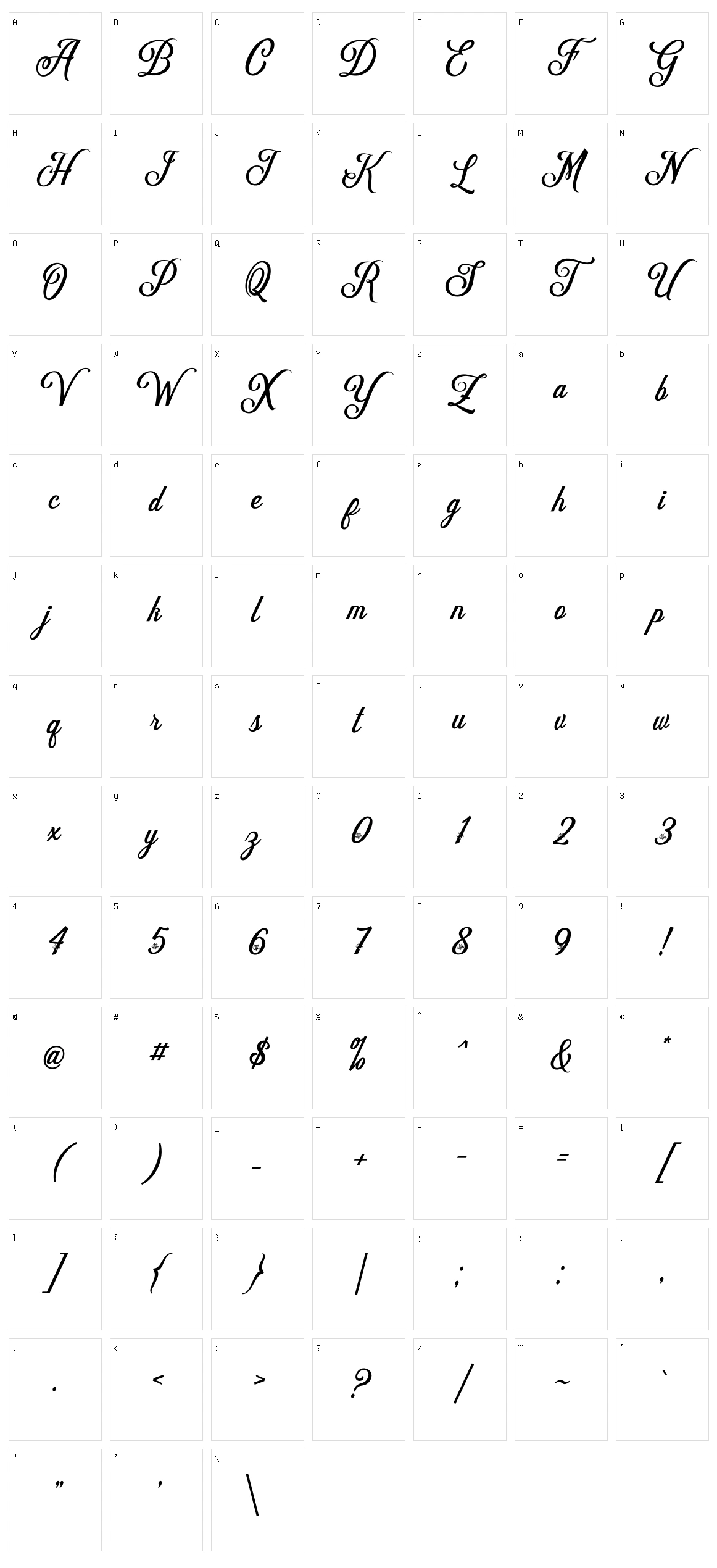 Delighter Script Character Set