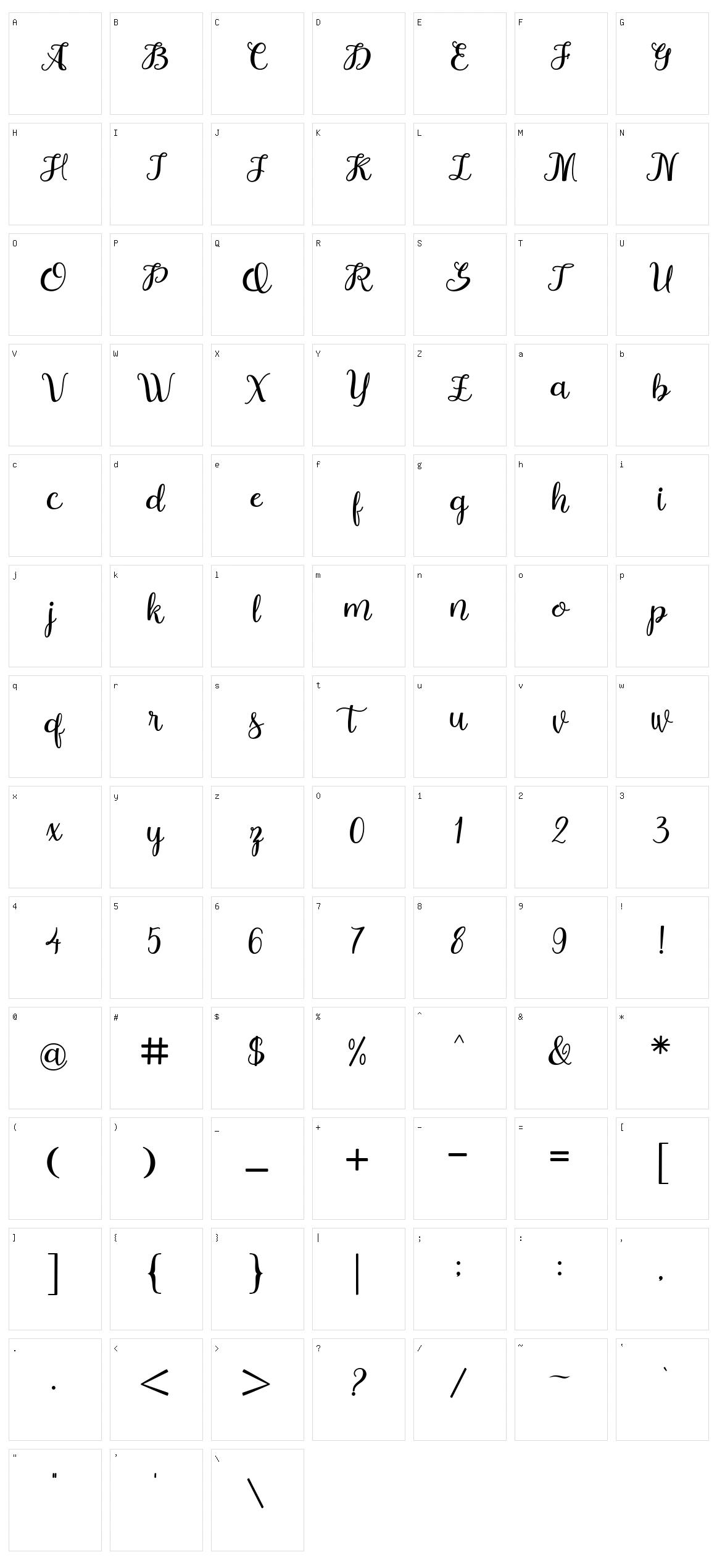 Holliday Character Set