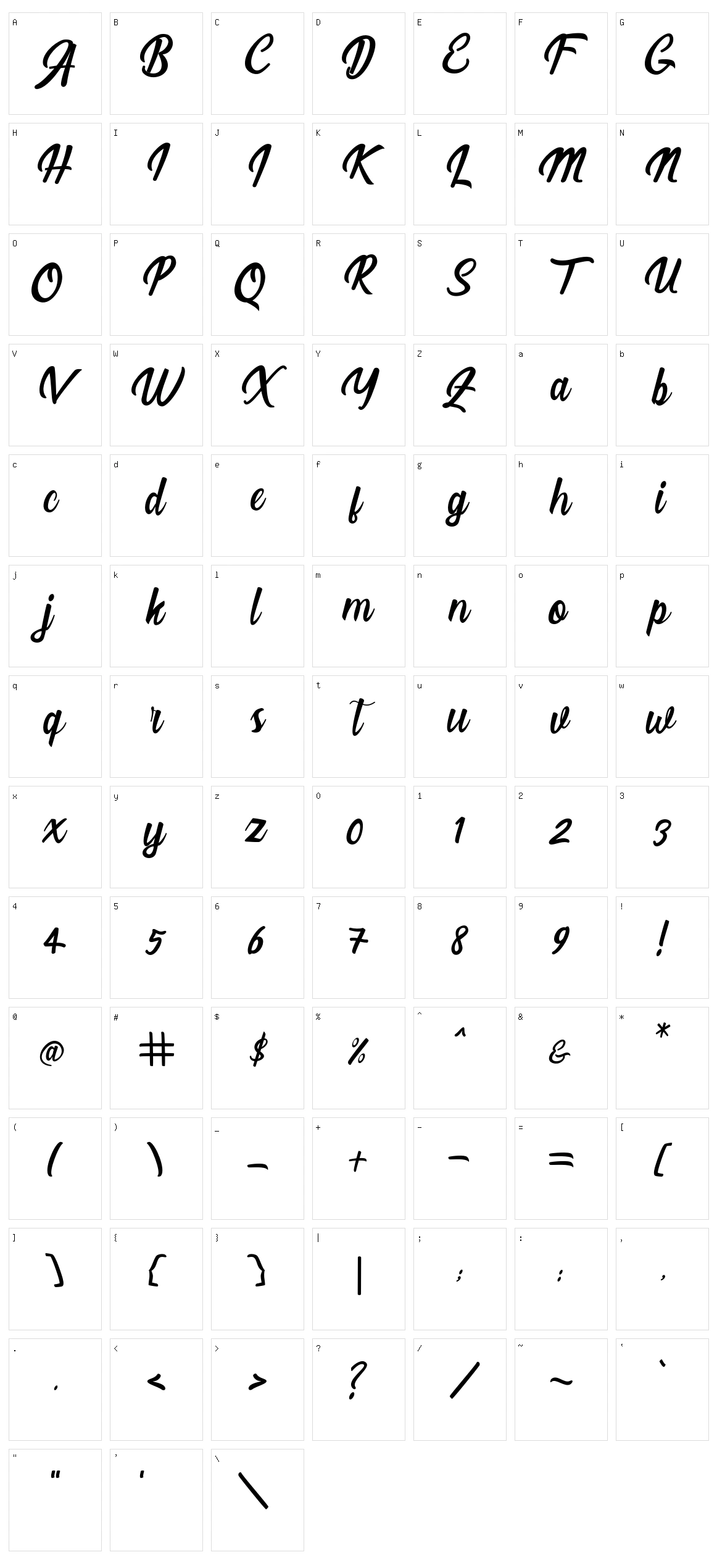 Larssonia Script Character Set