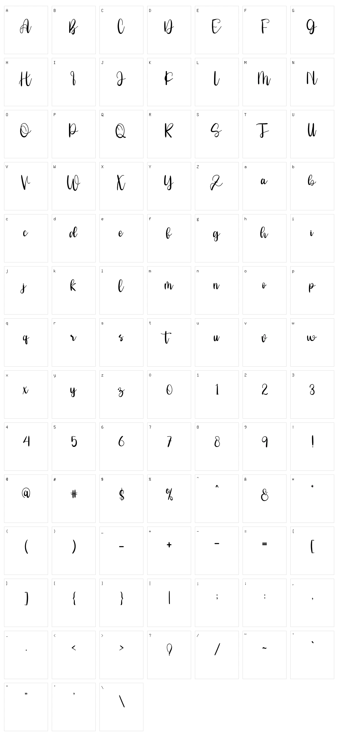 New Sinergetic Character Set