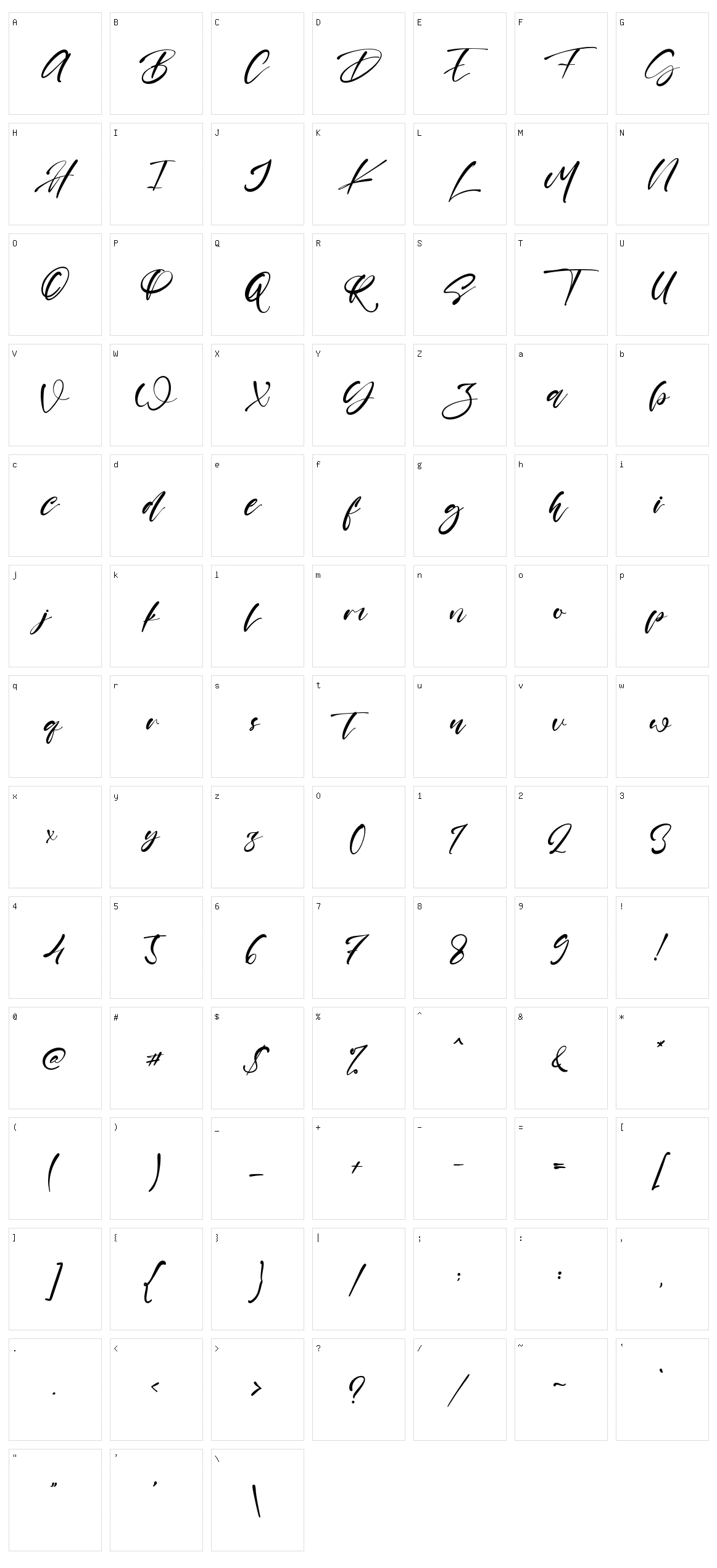 Shayne Character Set