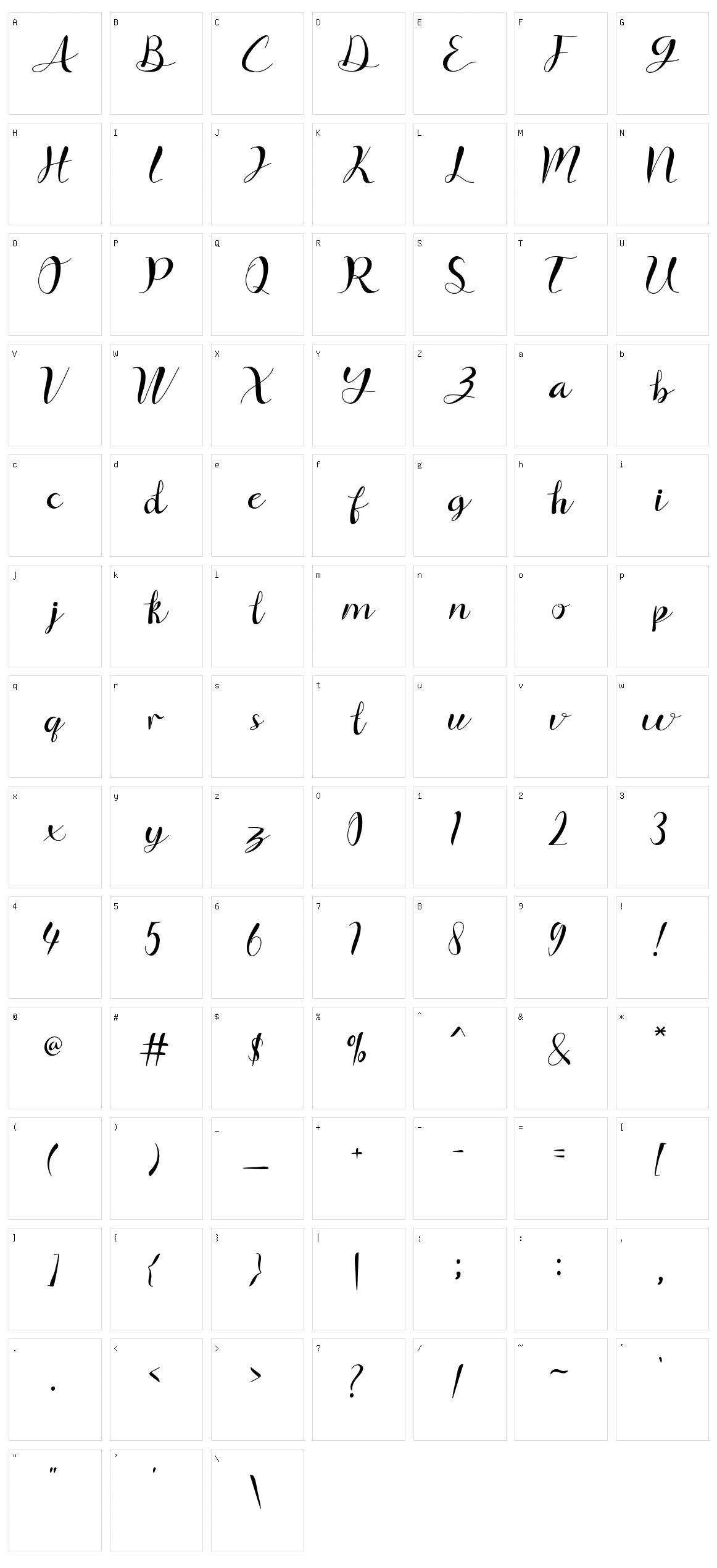Signfly Character Set
