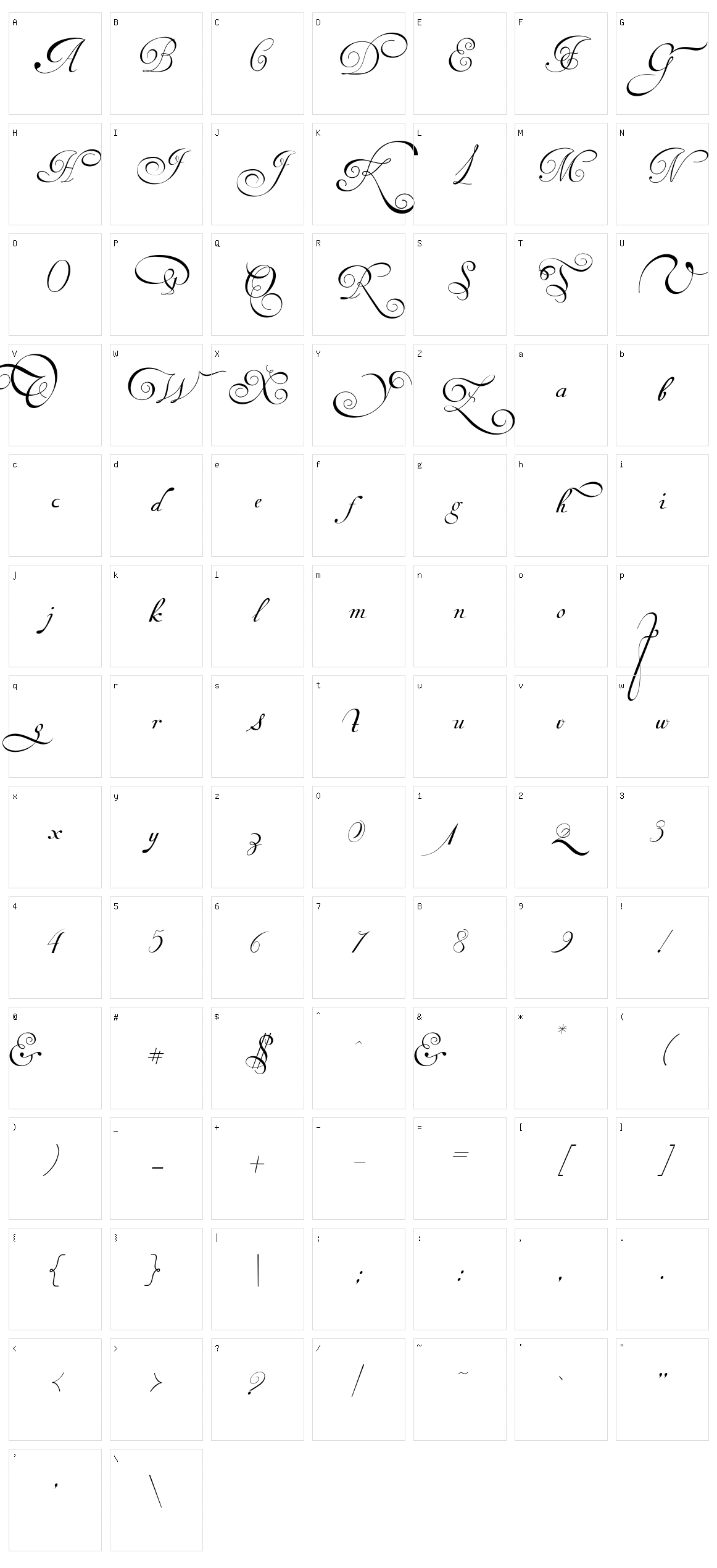 Van den Velde Script Character Set