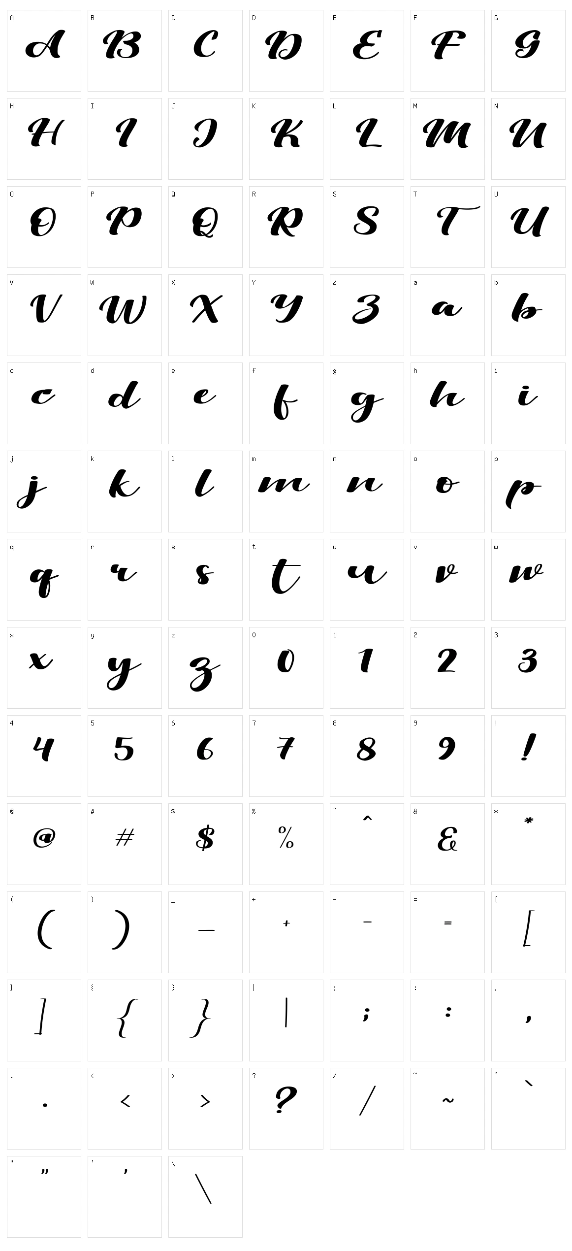 Viksi Script Character Set