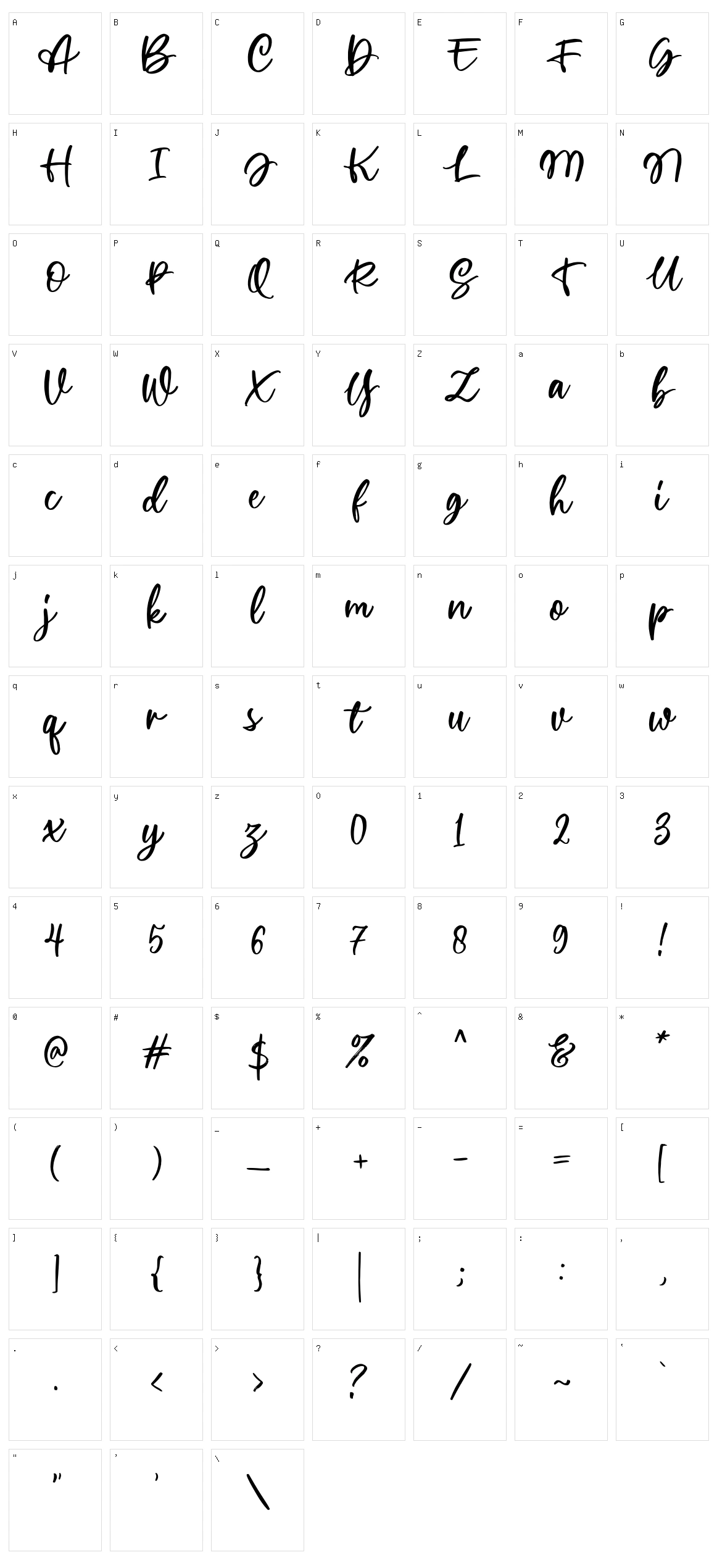 Wellytonia Script Character Set