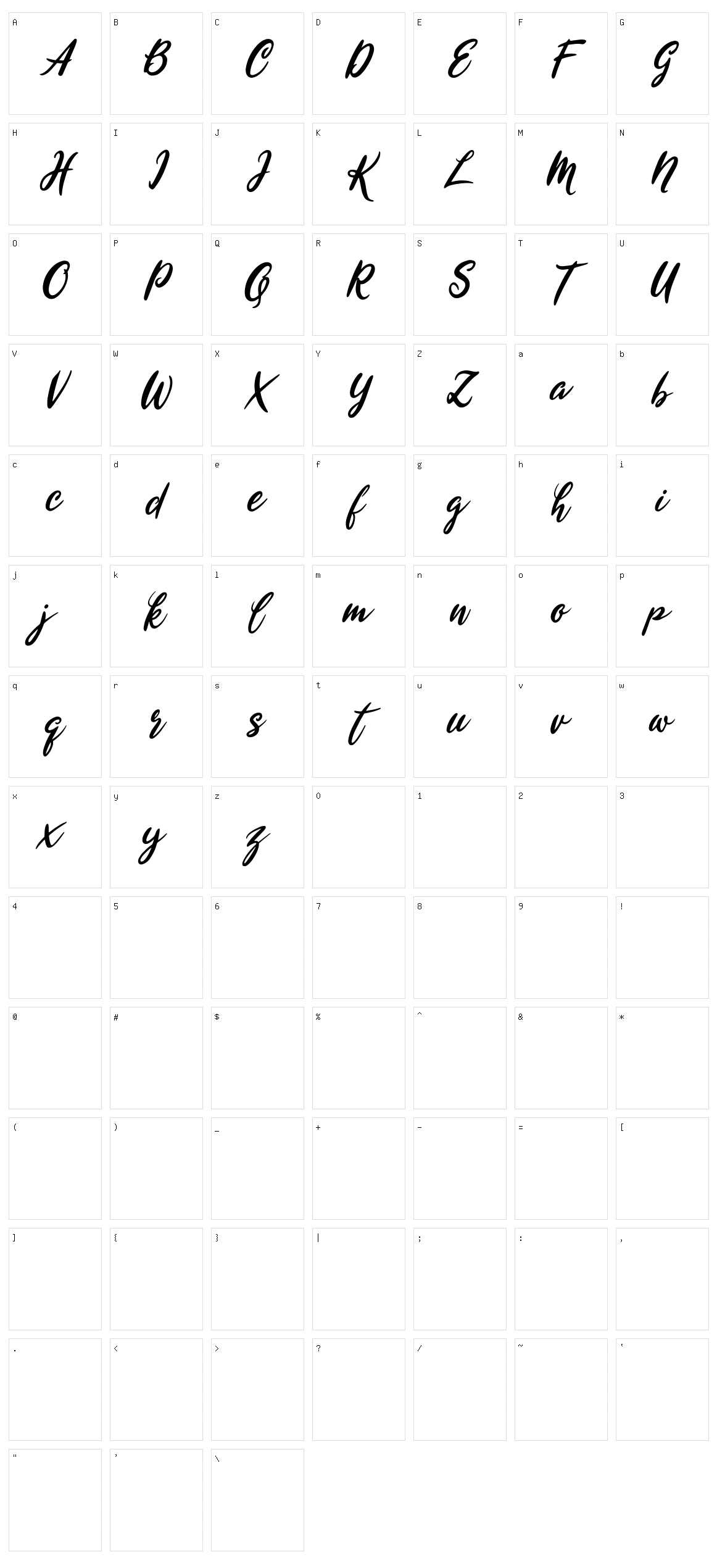Wyntex Brasco Character Set