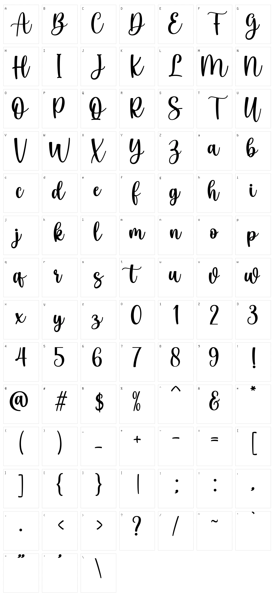 Sunshine Festival Character Set