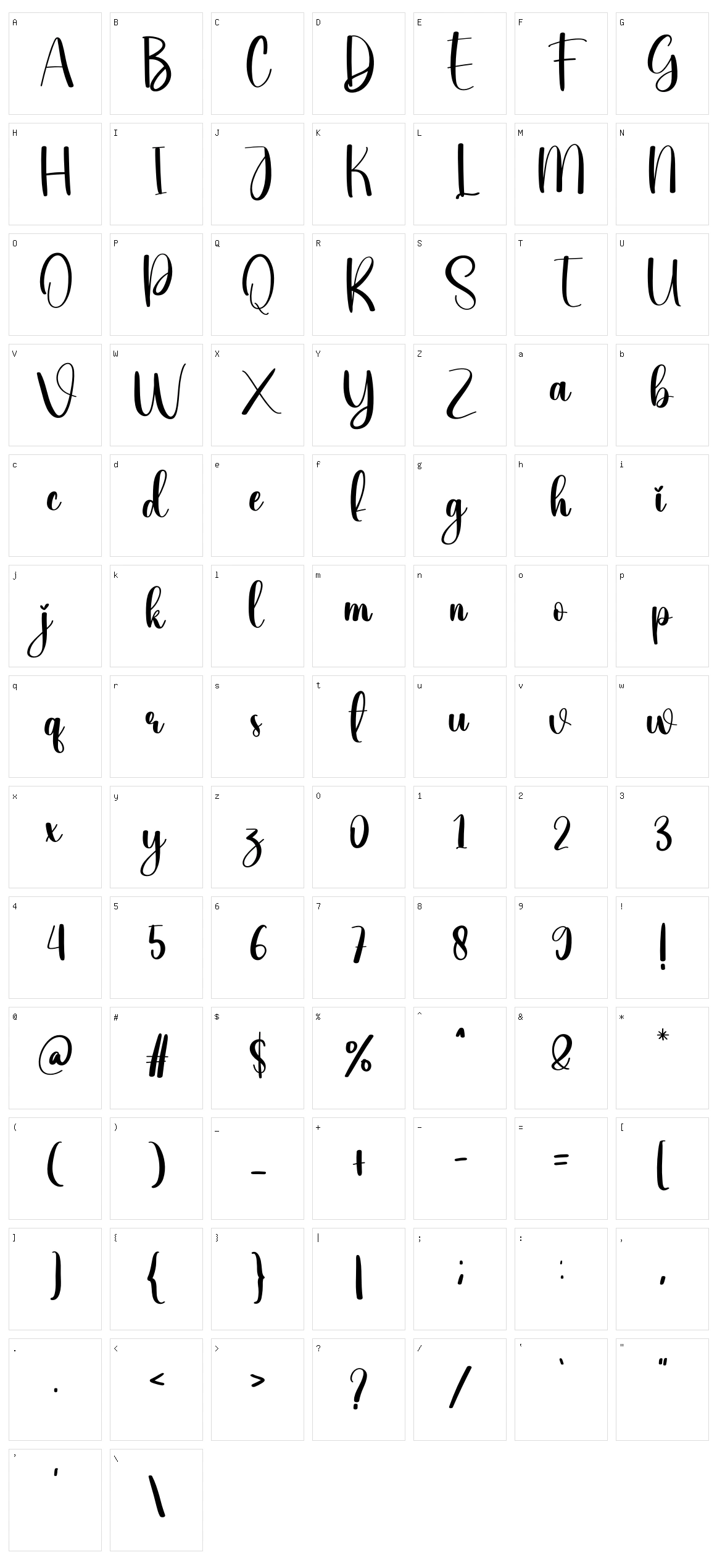 Write Character Set