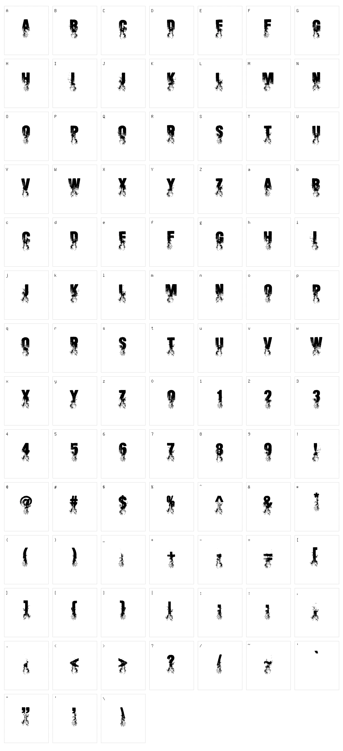 Blaize Character Set