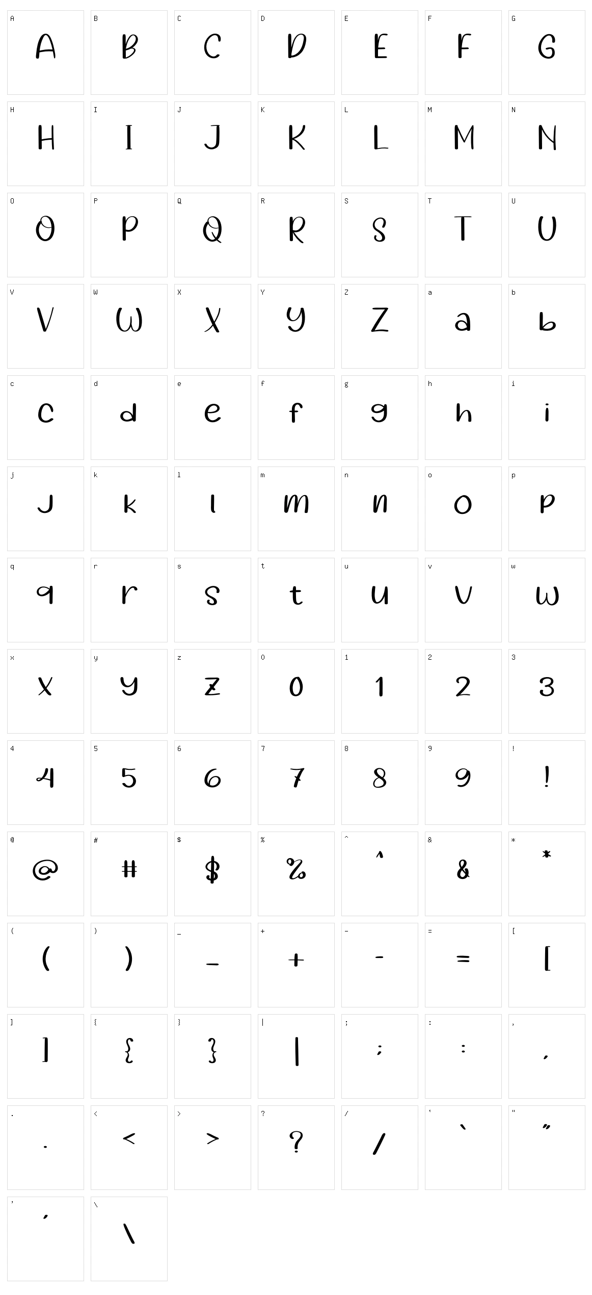 Instruction Character Set