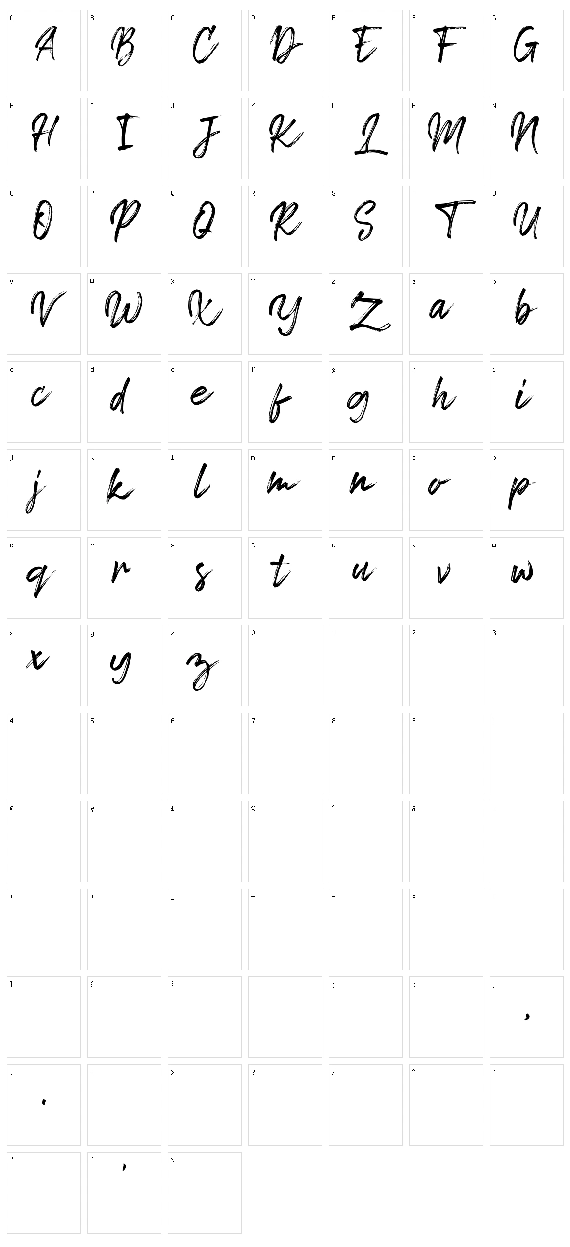 Tropical Summer Brush Character Set