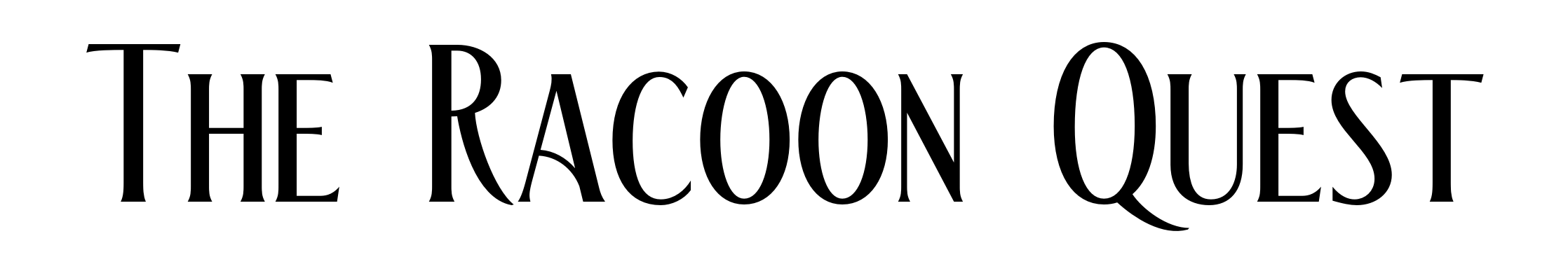 The Racoon Quest