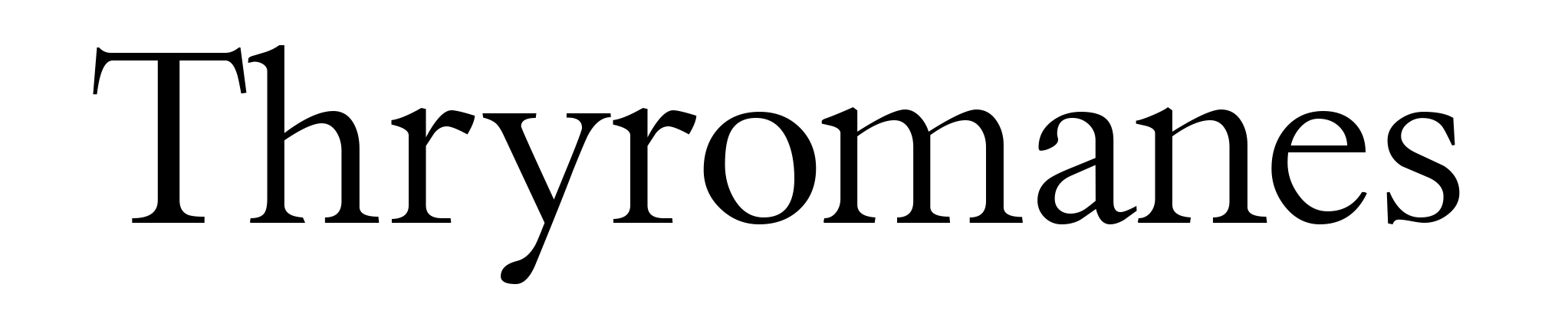 Thryromanes