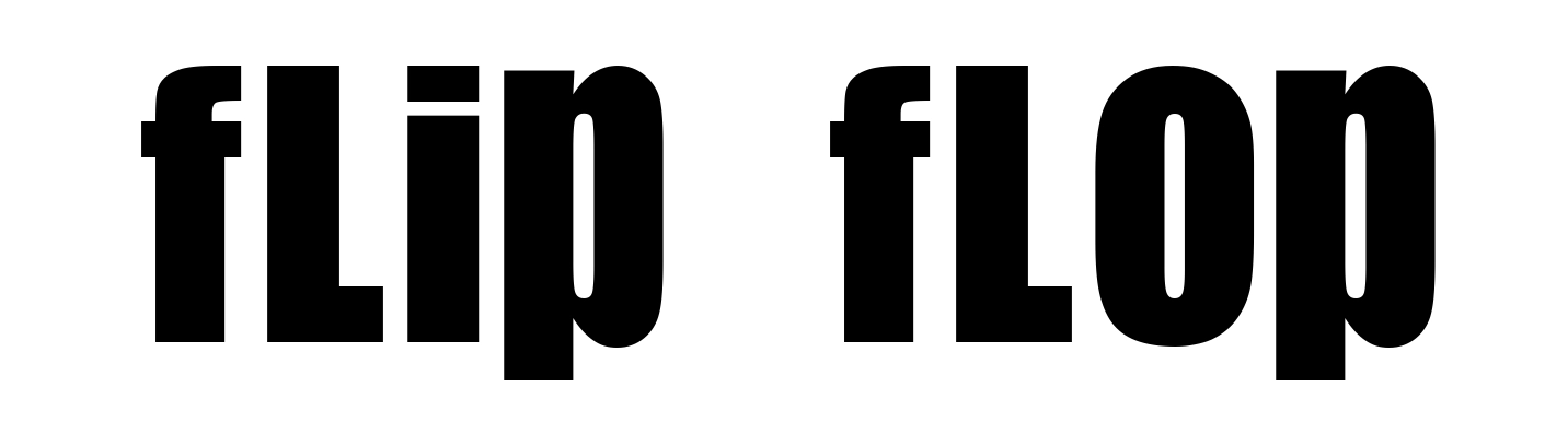 Flip Flop
