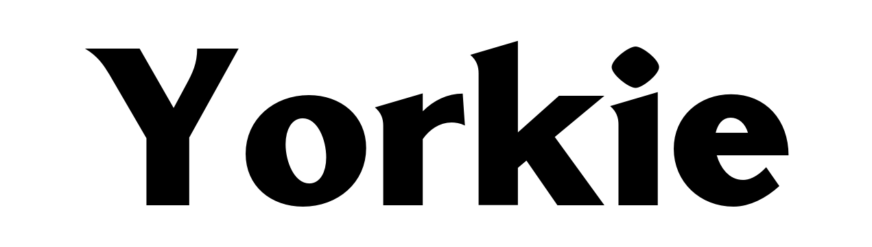 Yorkie