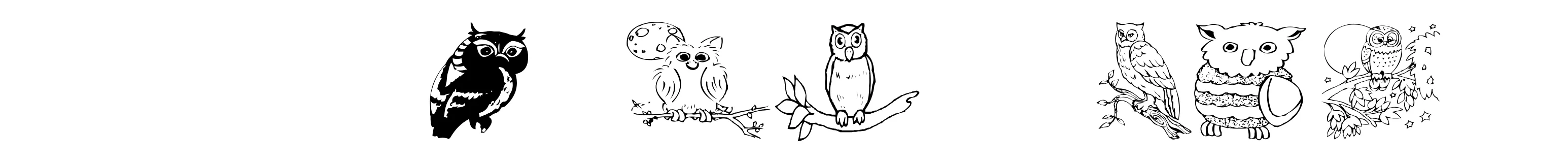 AEZ Owls for Traci