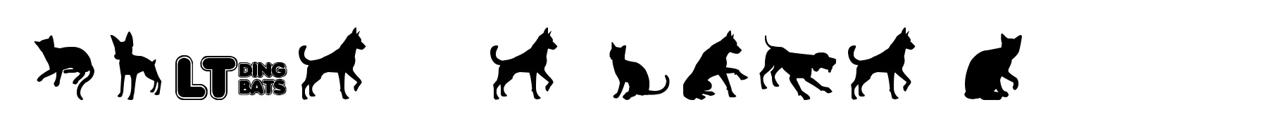 Cats vs Dogs LT