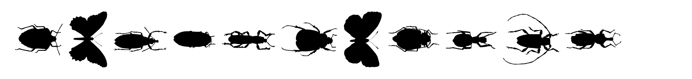 ChileanBugs