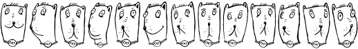 Claudio the Cat