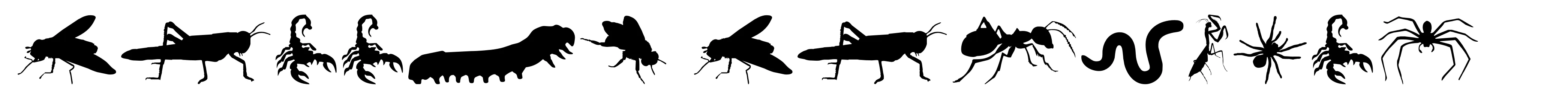 Creepy Crawlies