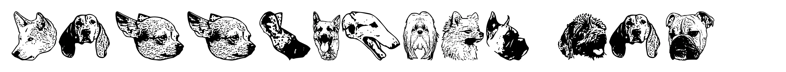DoggyPrint AOE 