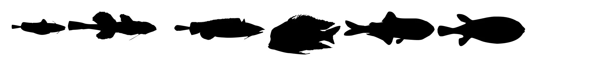 Le Fish