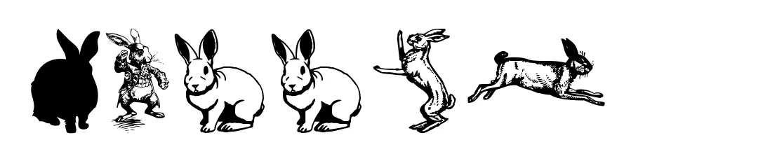Rabbit