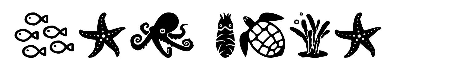 Sea Life