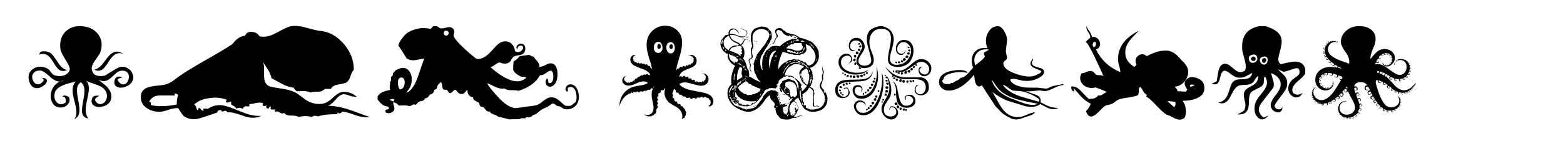 The Octopus