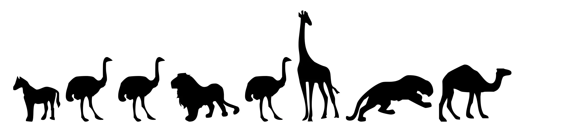 Zoologic
