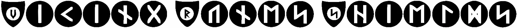Viking Runes Shields